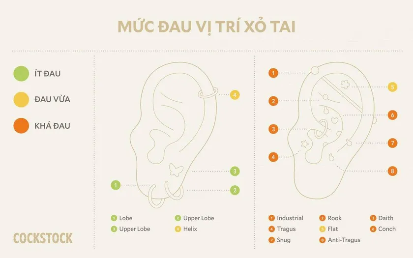 Mức đau vị trí xỏ tai — Pain level chart by position