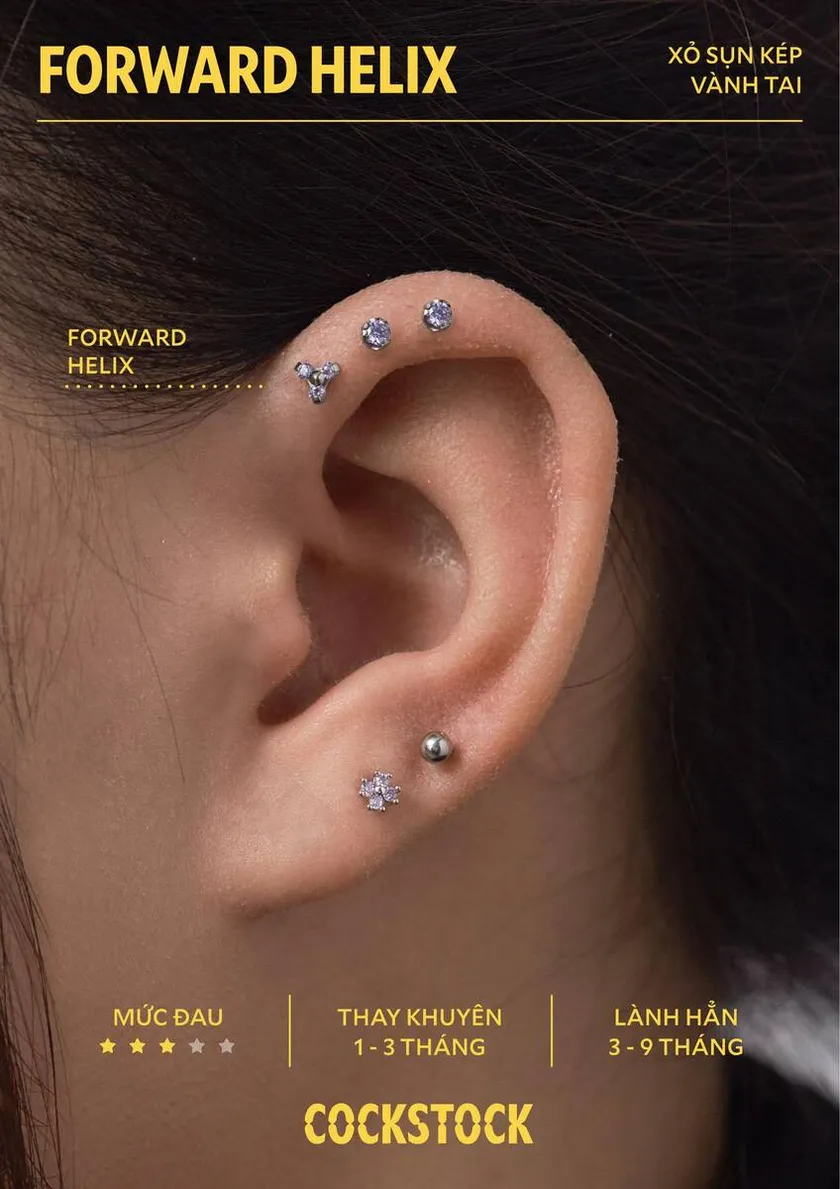 Forward Helix
