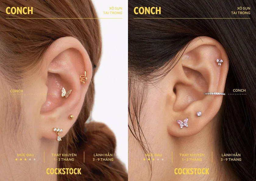 Conch piercing detail