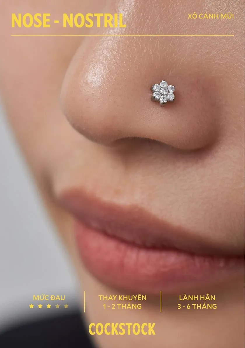 Body position page 40