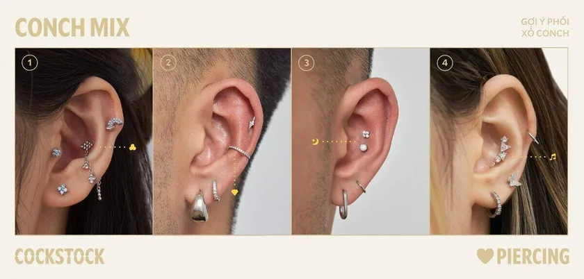 Conch Mix — 4 curated styling variations