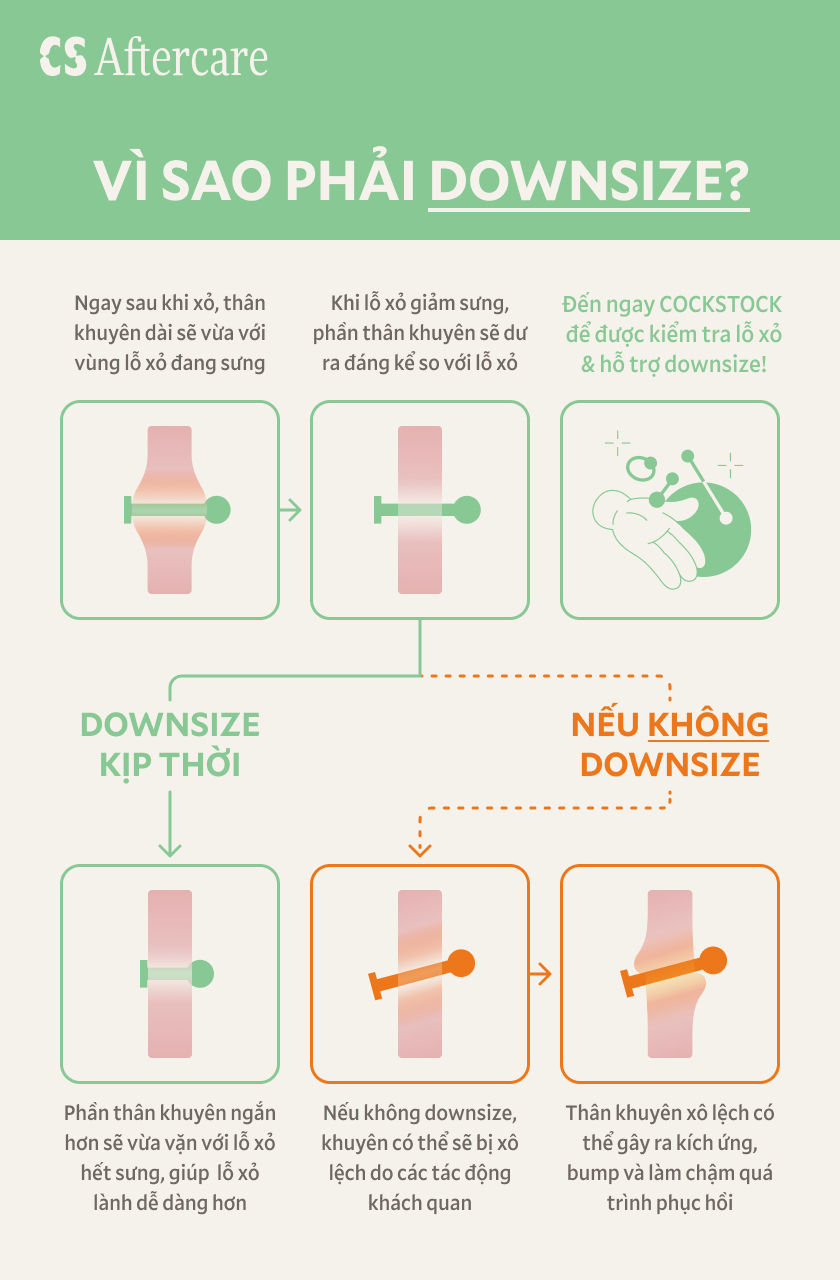 Vì sao phải Downsize — infographic quy trình