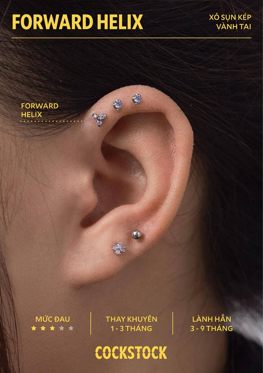 Forward Helix