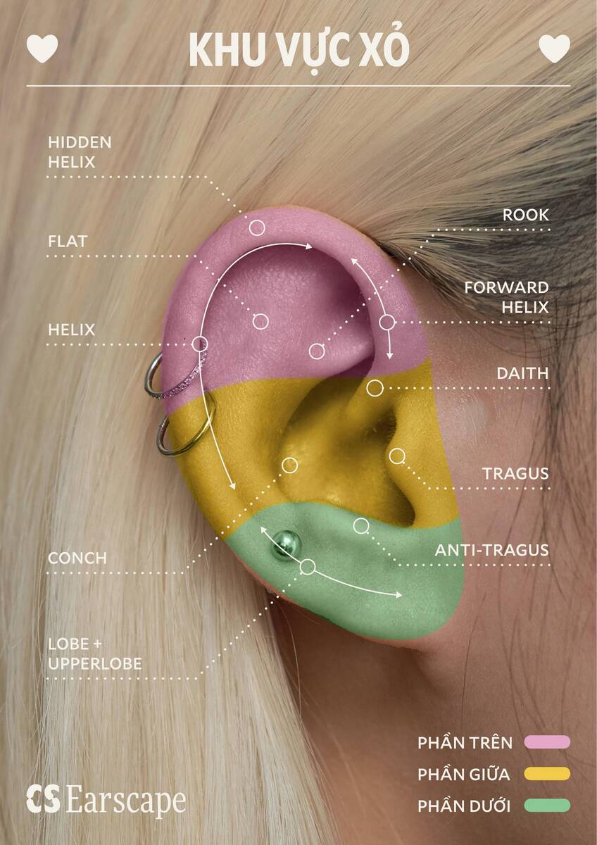 CS Earscape — ear zones
