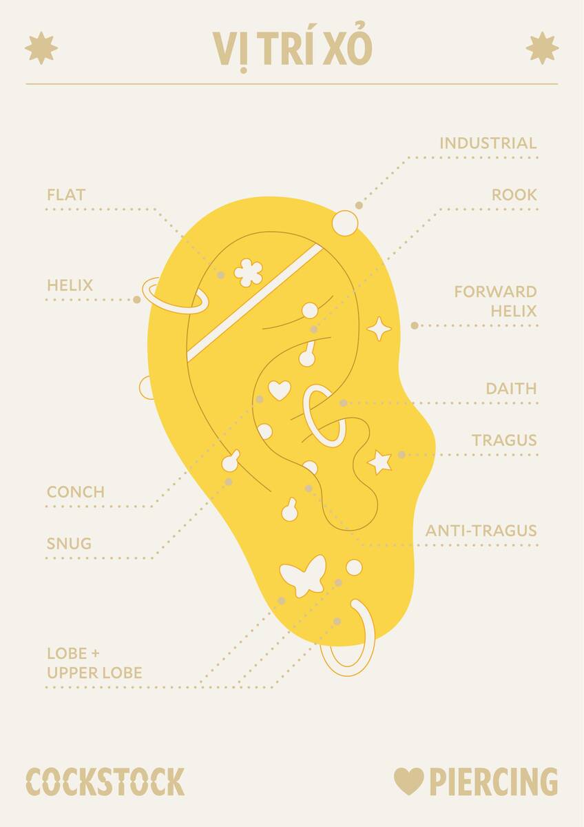 Vị Trí Xỏ — position map