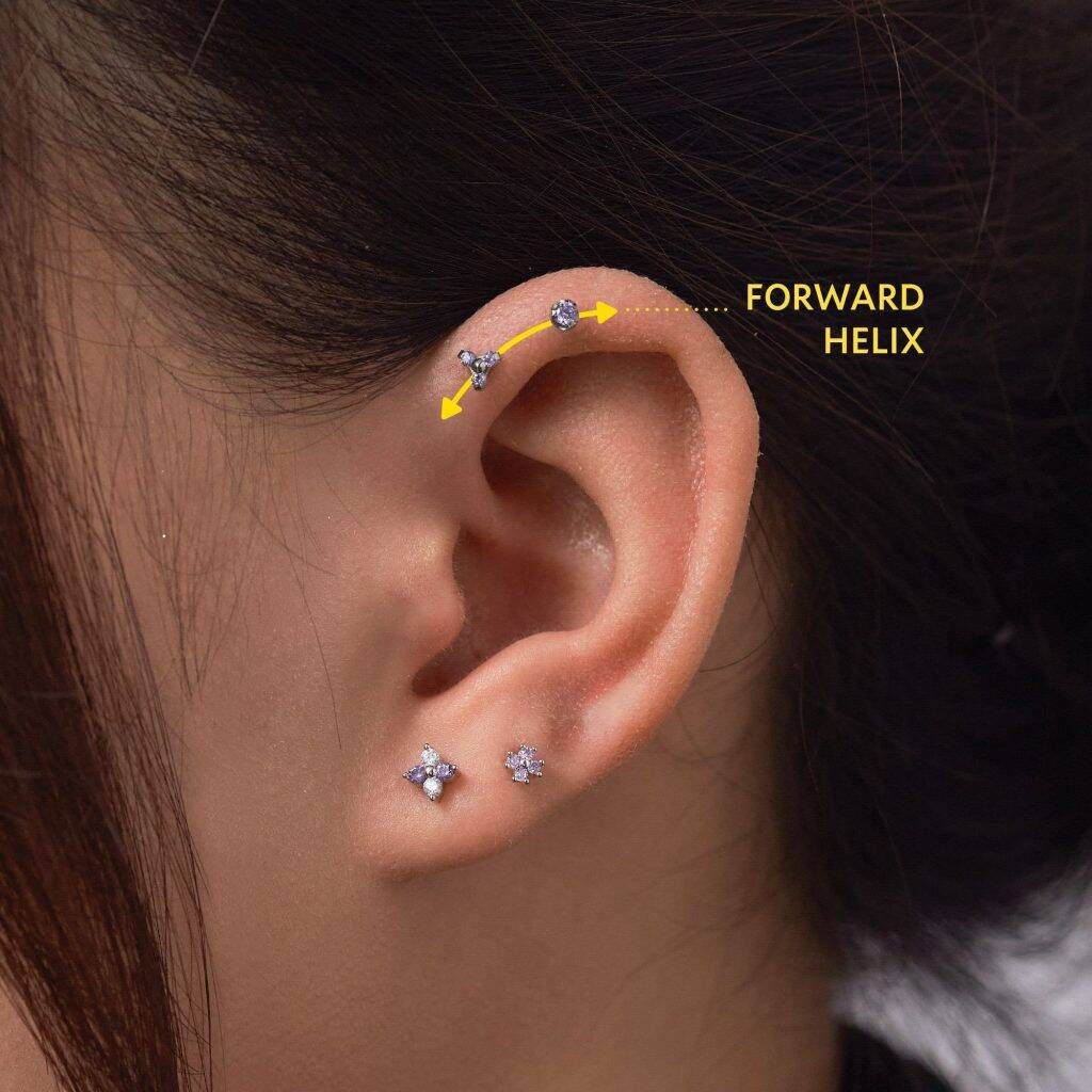 Forward Helix close-up with annotation