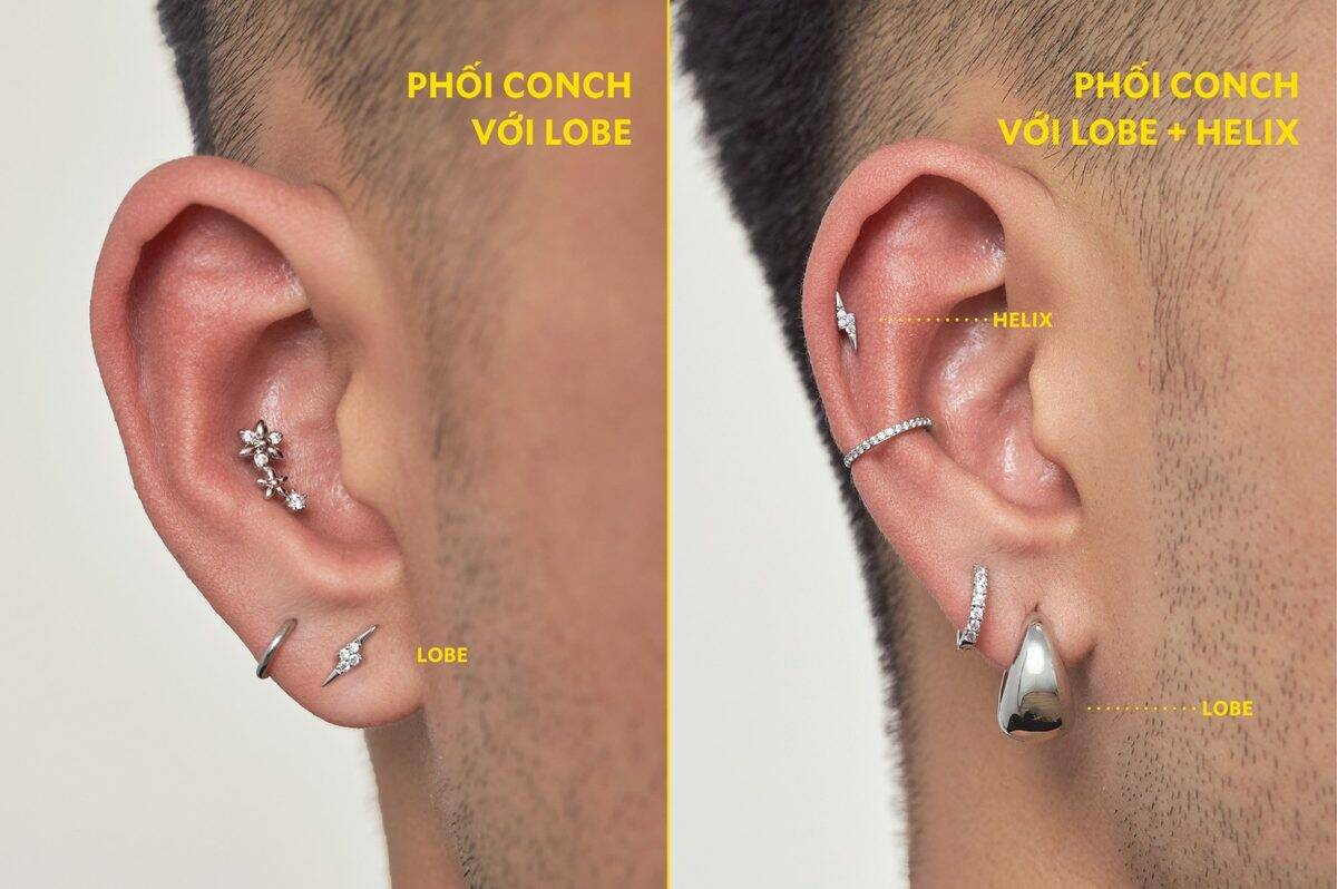 Phối Conch với Lobe + Helix — Conch combination styling