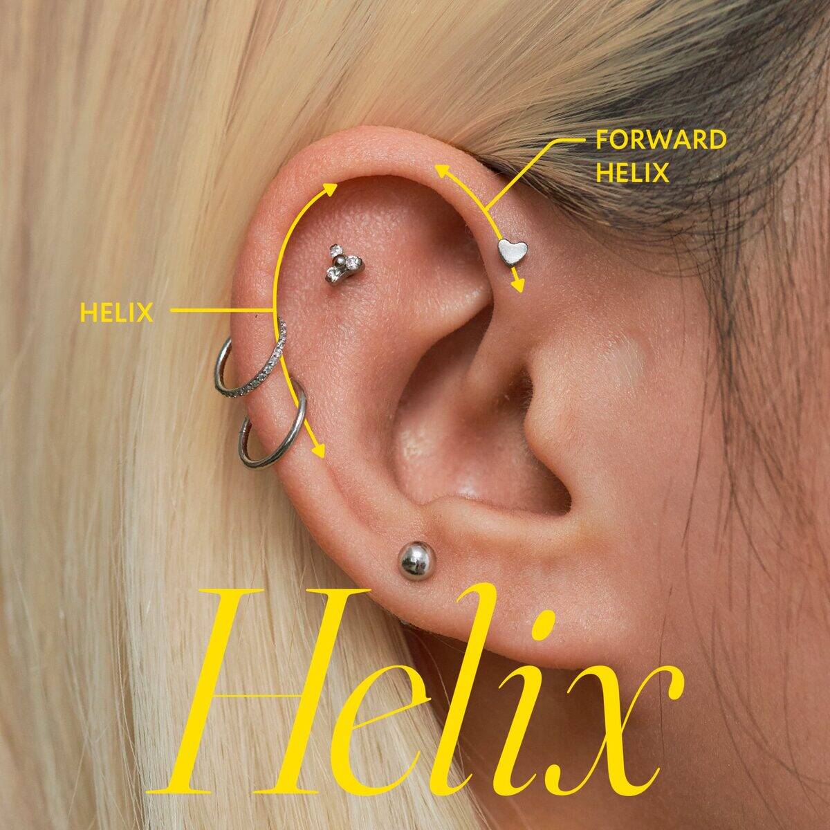 Helix + Forward Helix position cover