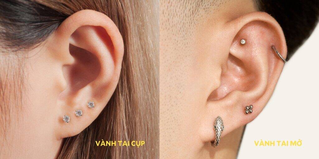 Forward Helix + Double Helix + Lobe position map