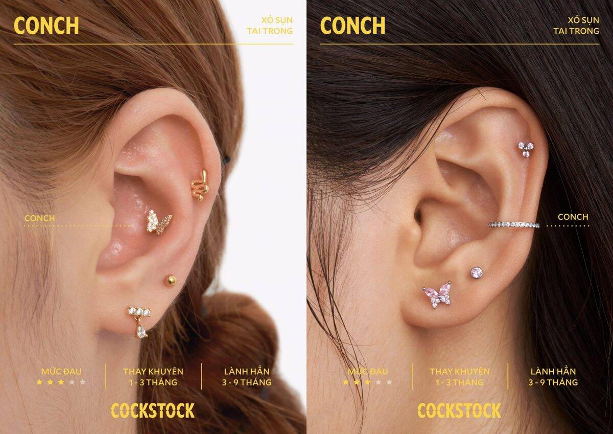 Conch piercing — detailed position guide with pain and healing data
