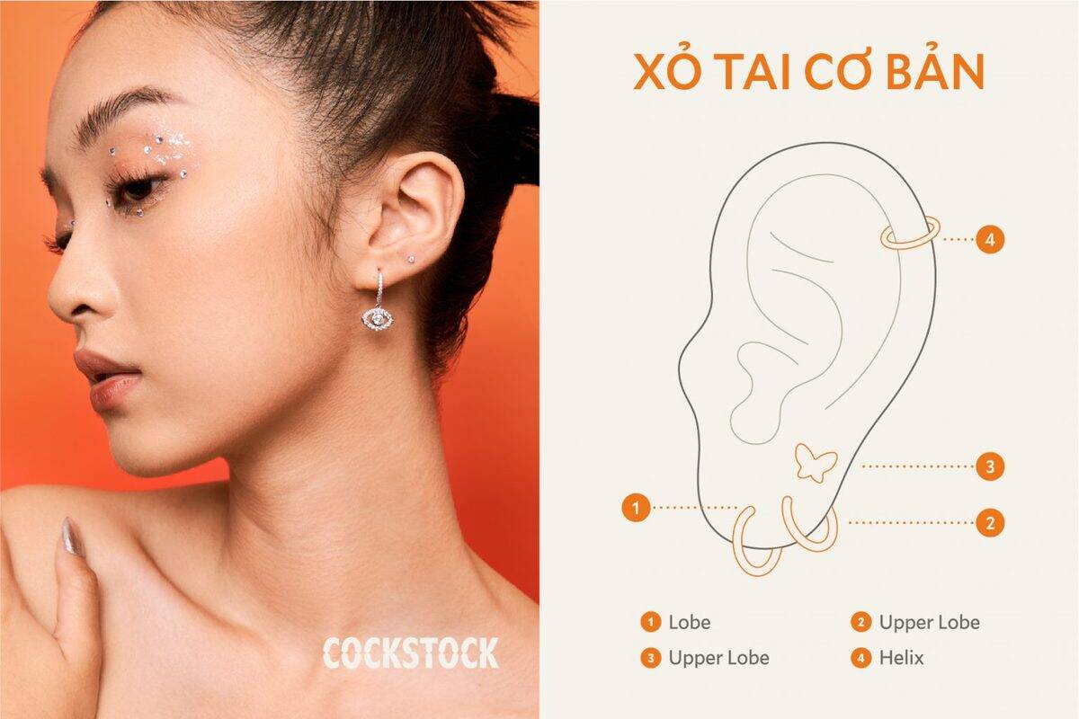 Xỏ tai cơ bản — Basic ear piercing position map